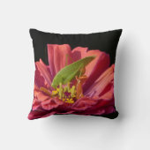 ケイディドオン《植物》百日草 クッション (裏面)