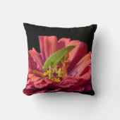 ケイディドオン《植物》百日草 クッション (正面)