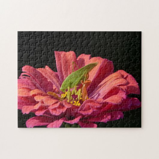 ケイディドオン《植物》百日草 ジグソーパズル (横)