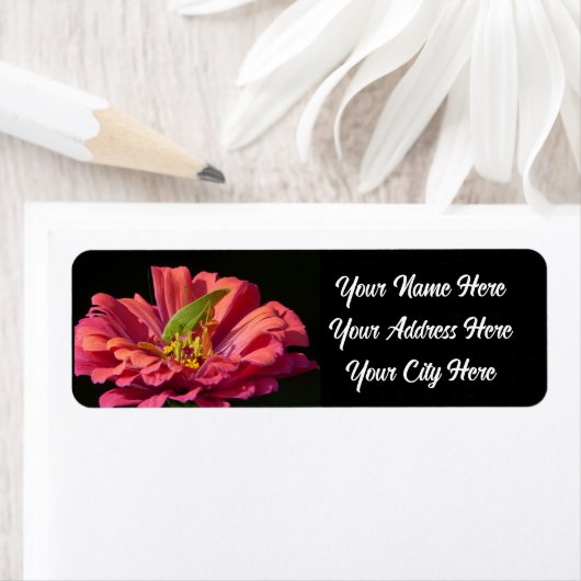 ケイディドオン《植物》百日草 ラベル (インサイチュ)