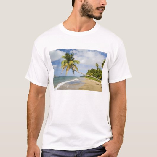 ケイデズベイのココナッツグローブビーチ St.2付き Tシャツ (正面)
