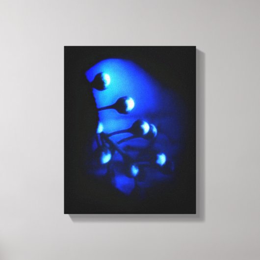 ケイト キャンバスプリント (正面)