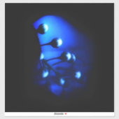 ケイト シール (シート)