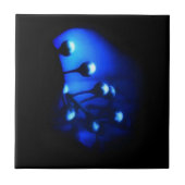 ケイト タイル (正面)