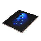 ケイト タイル (側面)