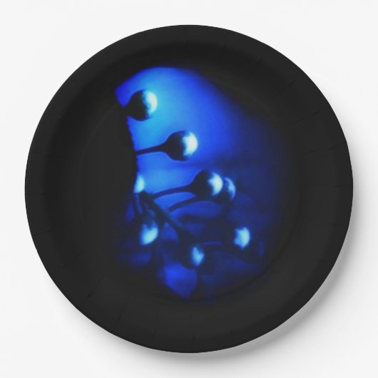 ケイト ペーパープレート (正面)