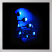 ケイト ポスター (正面)