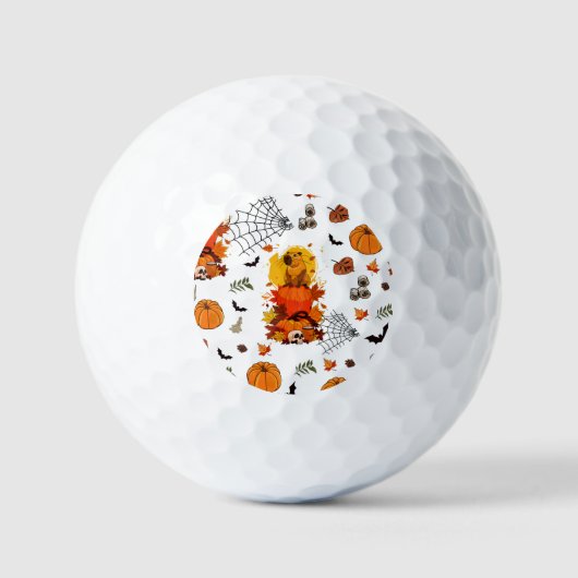 ケイピバラ・ハロウィーン。カボチャ魔女。 ゴルフボール (正面)