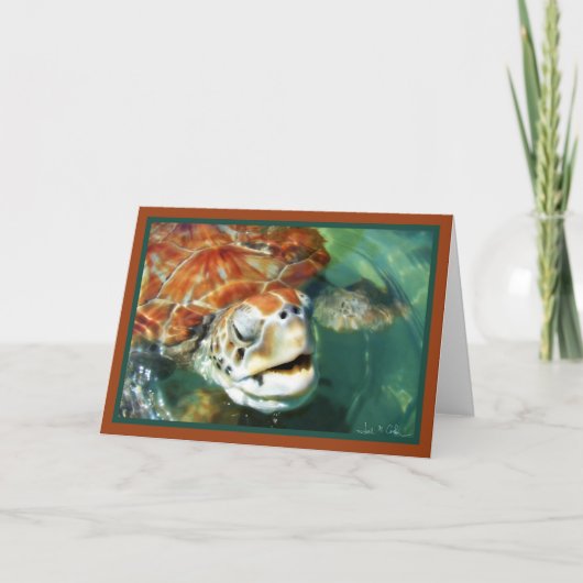 ケイマンカメ カード (正面)