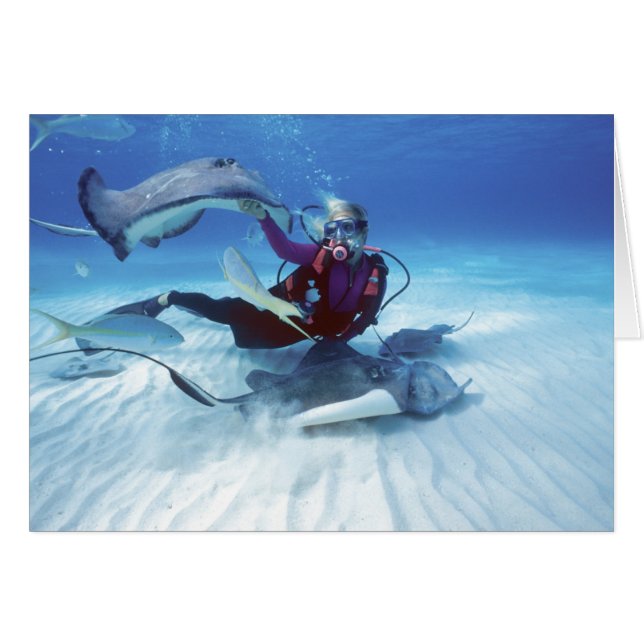ケイマン諸島グランドケイマン島のStingray City, (正面横)