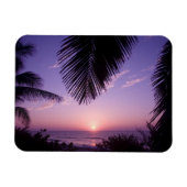 ケイマン諸島ケイマンブラック西部の夕焼け マグネット (横)
