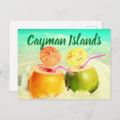 ケイマン諸島ココナッツ ポストカード (正面/裏面)