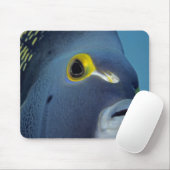 ケイマン諸島,アンジェルフランスのフィッシュポマカンサス マウスパッド (マウス)