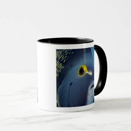 ケイマン諸島,アンジェルフランスのフィッシュポマカンサス マグカップ (正面右)