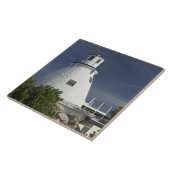 ケイマン諸島、グランドケイマン、フランク湾:古い タイル (側面)