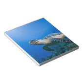 ケイマン諸島、リトルケイマン島、水中2 ノートパッド (アングル)