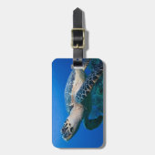 ケイマン諸島、リトルケイマン島、水中2 ラゲッジタグ (正面縦)