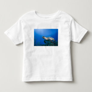 ケイマン諸島 リトルケイマン島 水中 2 トドラーTシャツ