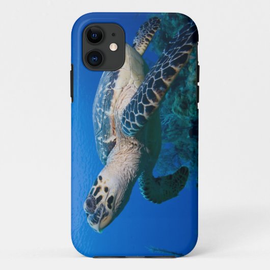 ケイマン諸島 リトルケイマン島 水中 2 Case-Mate iPhoneケース (裏面)
