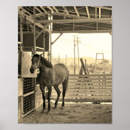 ケイメイ牧場　グラマーちゃん　まるで置き物 ポスター