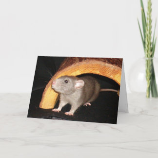 ケイレブカード サンキューカード