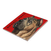 ケインコルソカラーブロック タイル (側面)