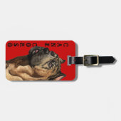 ケインコルソカラーブロック ラゲッジタグ (正面横)