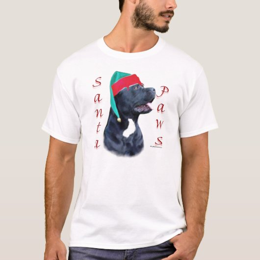 ケインコルソサンタポーズ Tシャツ (正面)