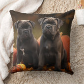 ケインコルソパピーオータムデライトカボチャ クッション (ブランケット)