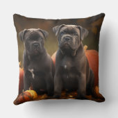 ケインコルソパピーオータムデライトカボチャ クッション (裏面)