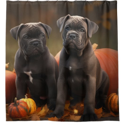 ケインコルソパピーオータムデライトカボチャ シャワーカーテン (正面)