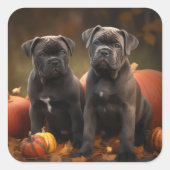 ケインコルソパピーオータムデライトカボチャ スクエアシール (正面)