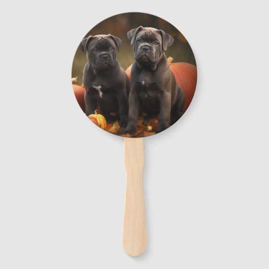 ケインコルソパピーオータムデライトカボチャ ハンドファン (裏面)