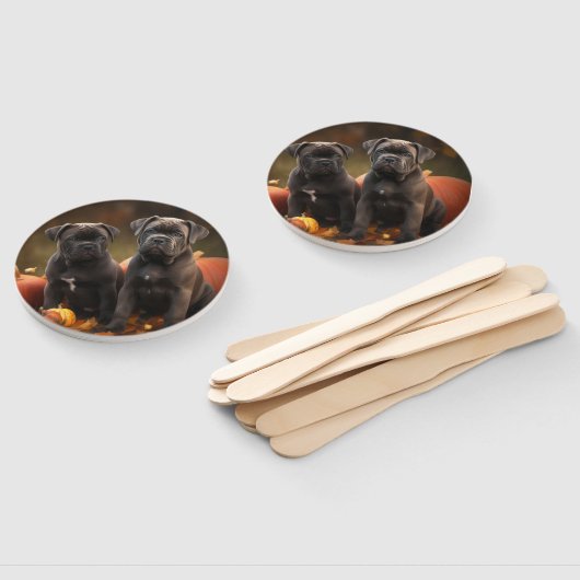 ケインコルソパピーオータムデライトカボチャ ハンドファン (組立なし)