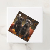 ケインコルソパピーオータムデライトカボチャ フェイバータグ (インサイチュ)