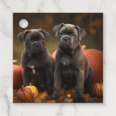 ケインコルソパピーオータムデライトカボチャ フェイバータグ (正面)