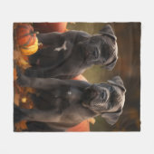 ケインコルソパピーオータムデライトカボチャ フリースブランケット (正面(横))