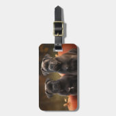 ケインコルソパピーオータムデライトカボチャ ラゲッジタグ (正面縦)