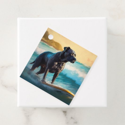 ケインコルソビーチ絵を描サーフィン フェイバータグ (インサイチュ)