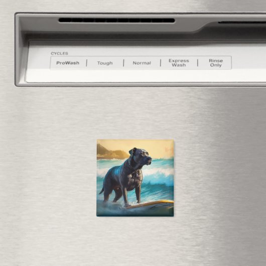 ケインコルソビーチ絵を描サーフィン マグネット (インサイチュ (食洗機))