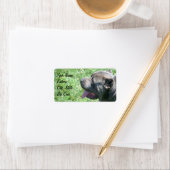 ケインコルソ住所 シール (インサイチュ)