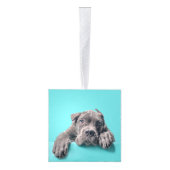 ケインコルソ犬2枚の写真クリスマスホリデー キューブオーナメント (右)