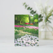 ケウケンホフ庭園 – オランダのはがき ポストカード (スタンド正面)