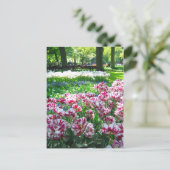 ケウケンホフ庭園 – オランダのはがき ポストカード (スタンド正面)