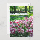 ケウケンホフ庭園 – オランダのはがき ポストカード (正面/裏面)