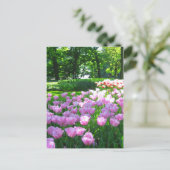 ケウケンホフ庭園 – オランダのはがき ポストカード (スタンド正面)