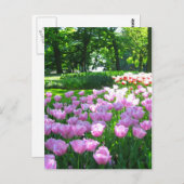 ケウケンホフ庭園 – オランダのはがき ポストカード (正面/裏面)