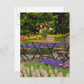 ケウケンホフ・ガーデンズ・ガーデンのチューリップ ポストカード (正面/裏面)