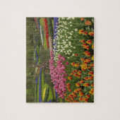 ケウケンホフ・ガーデンズ・チューリップ&ヒアシンス ジグソーパズル (縦)