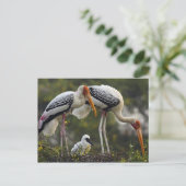 ケオ色彩の鮮やかラデオの巣でコウノトリとヤングワン ポストカード (スタンド正面)